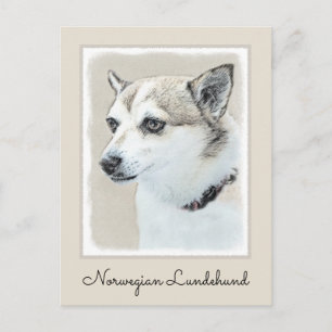 Norwegian Lundehund Painting - Original Dog Art Postcard
