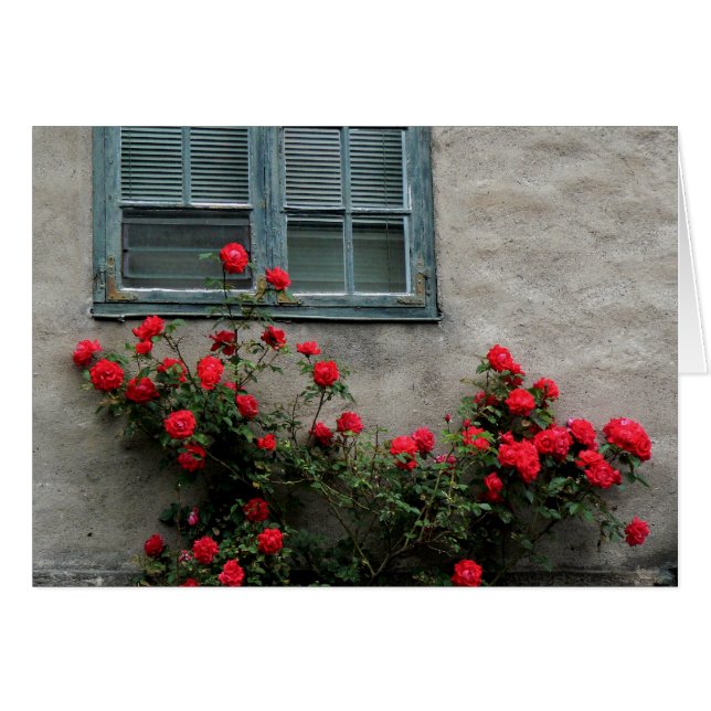 Norwegian Roses (Front Horizontal)