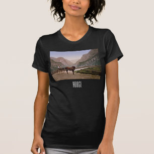 Norwegian woman in a horse-drawn carriage T-Shirt