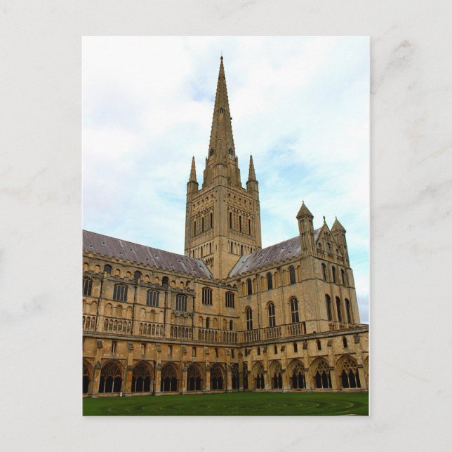 Norwich Cathedral Norfolk. Postcard (Front)