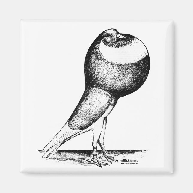 Norwich Cropper 1980 Magnet (Front)