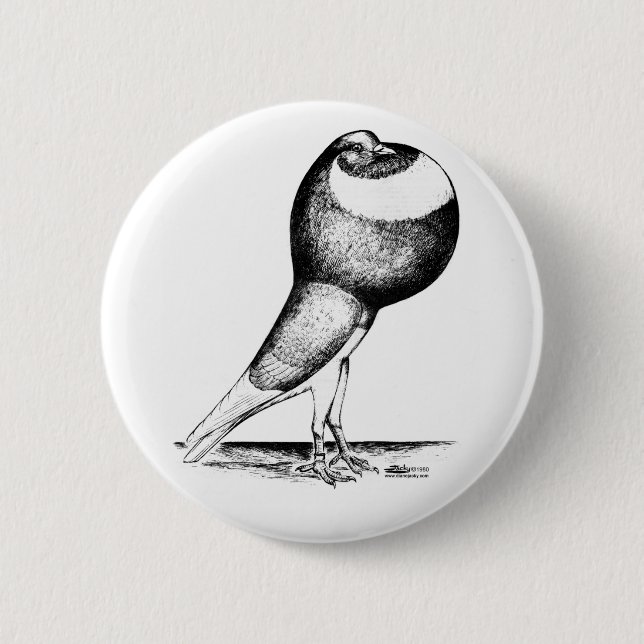 Norwich Cropper Pigeon 1980 6 Cm Round Badge (Front)