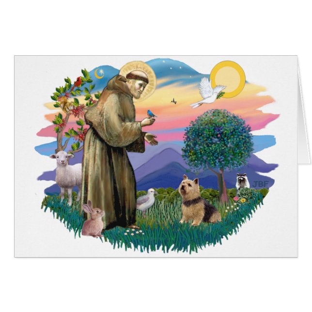 Norwich Terrier (Front Horizontal)