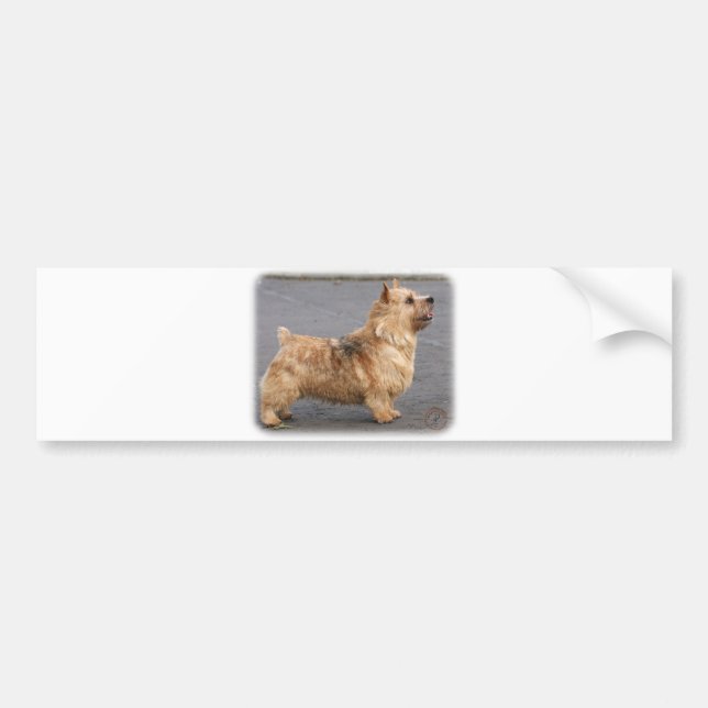 Norwich Terrier Bumper Sticker (Front)
