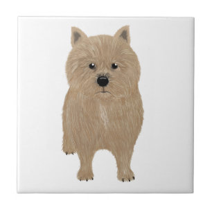 Norwich Terrier Ceramic Tile