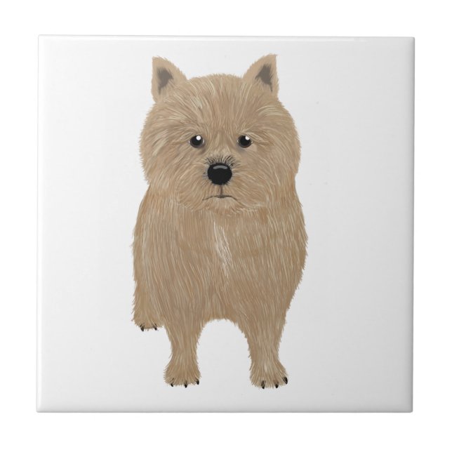 Norwich Terrier Ceramic Tile (Front)