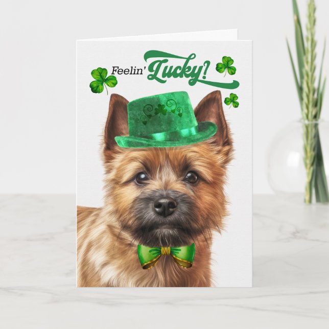 Norwich Terrier Dog Feelin' Lucky St Patrick's Day Holiday Card (Front)