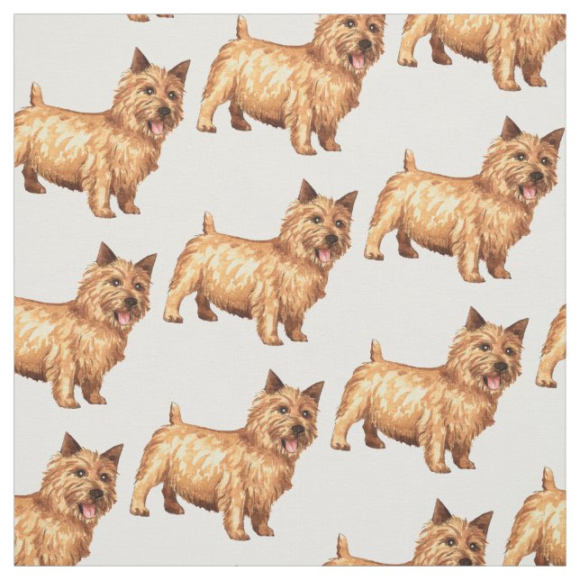 Norwich Terrier Fabric (Swatch)