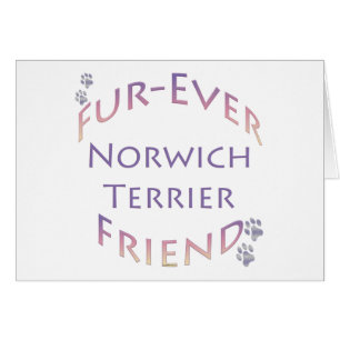 Norwich Terrier Furever