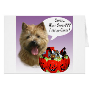 Norwich Terrier Halloween Candy