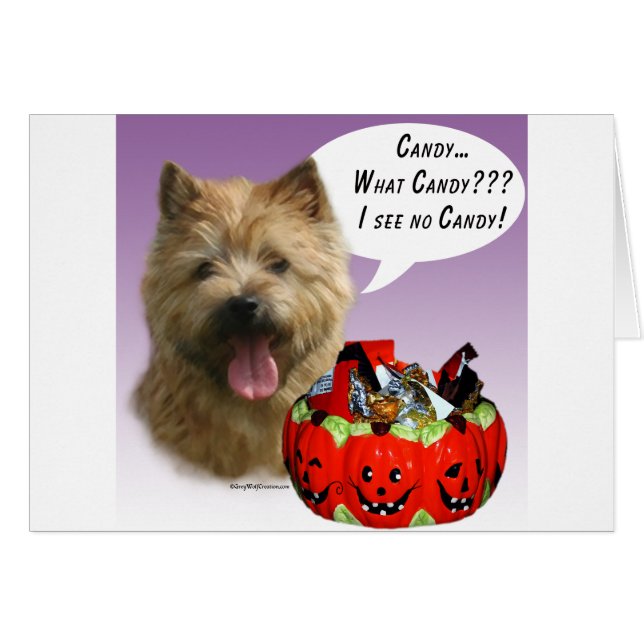 Norwich Terrier Halloween Candy (Front Horizontal)