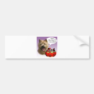 Norwich Terrier Halloween Candy Bumper Sticker