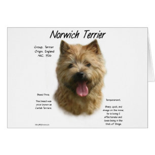 Norwich Terrier History Design