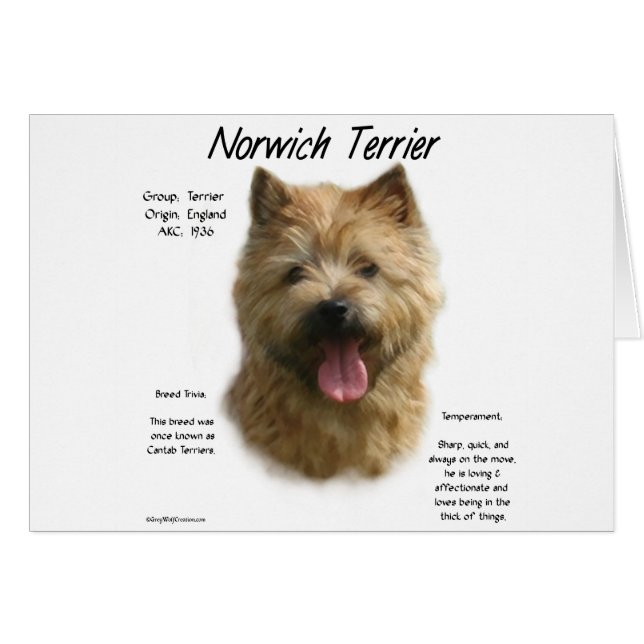 Norwich Terrier History Design (Front Horizontal)