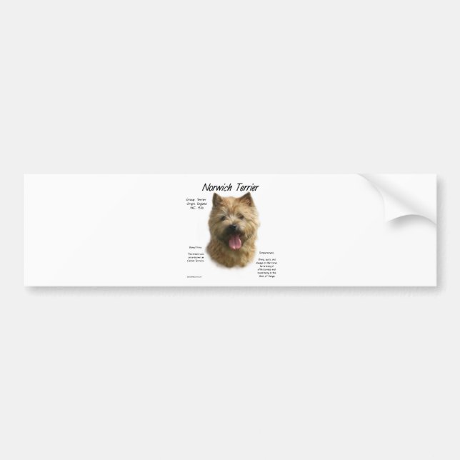 Norwich Terrier History Design Bumper Sticker (Front)