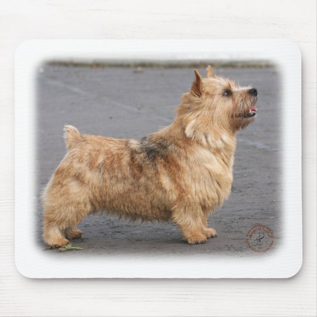 Norwich Terrier Mouse Pad (Front)