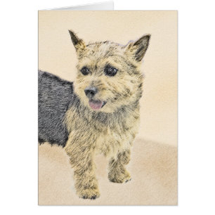 Norwich Terrier Painting - Cute Original Dog Art