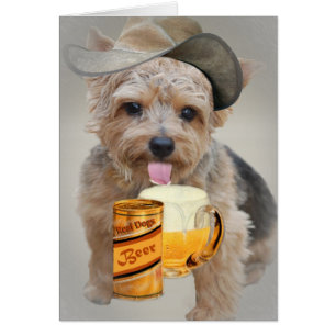 Norwich Terrier Shares A Beer