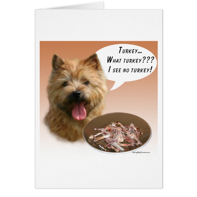 Norwich Terrier Turkey (Front)