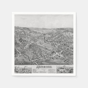 Norwood, MA Vintage Map 1882 Napkin
