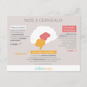 Nos 3 cerveaux postcard