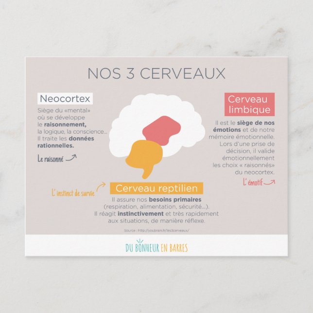 Nos 3 cerveaux postcard (Front)