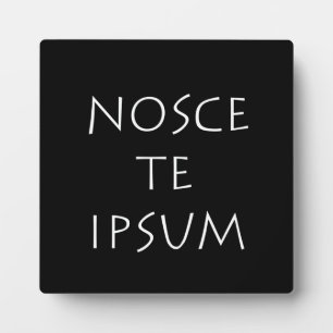 Nosce te ipsum plaque