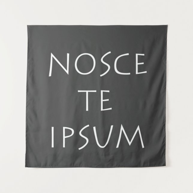 Nosce te ipsum tapestry (Front)