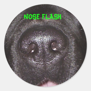NOSE FLASH CLASSIC ROUND STICKER