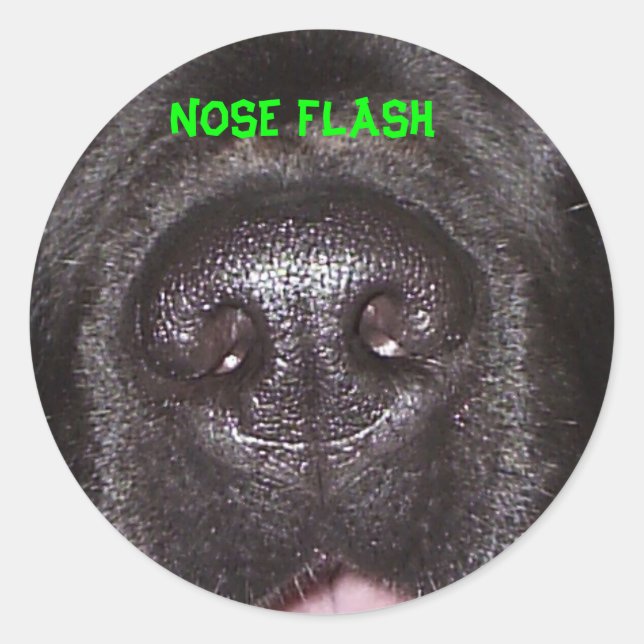 NOSE FLASH CLASSIC ROUND STICKER (Front)