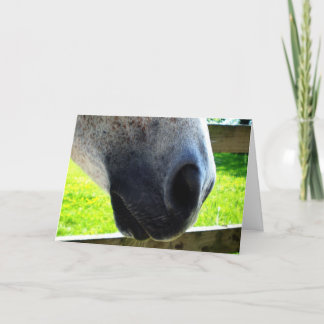 Nose job card
