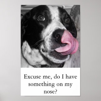 Nose Job Poster
