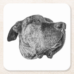 Nose-to-Light Detail Square Paper Coaster