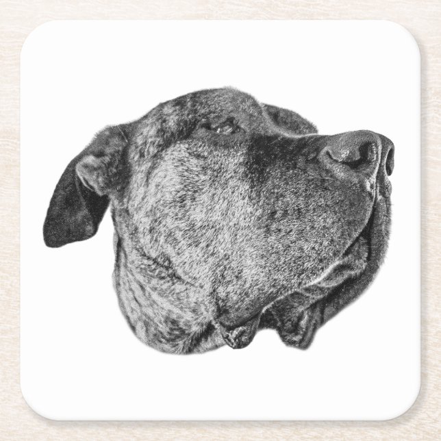 Nose-to-Light Detail Square Paper Coaster (Front)