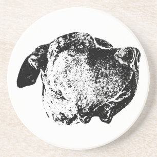 Nose & Whisker Close-Up Coaster