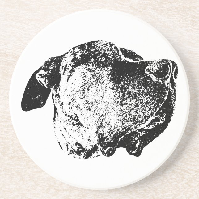 Nose & Whisker Close-Up Coaster (Front)