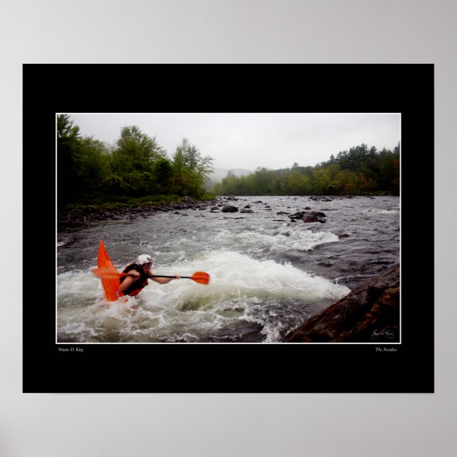 Nosedive Poster (Front)