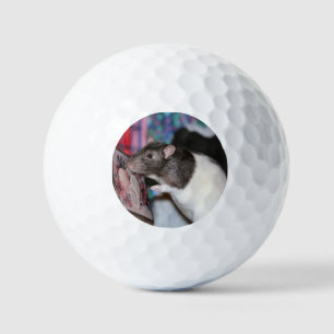 Nosey Golf Balls
