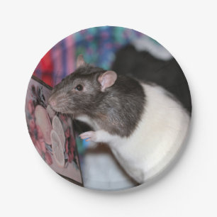Nosey Paper Plate