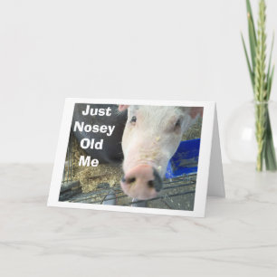 NOSEY PIGS BUTS IN TO SAY=HAVE A PERFECT HOLIDAY CARD