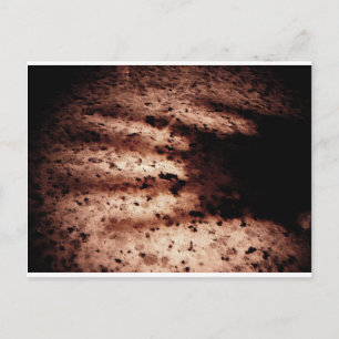 Nosferatu Postcard