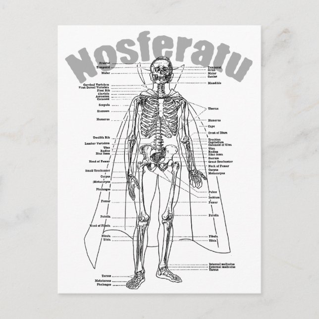 Nosferatu Postcard (Front)