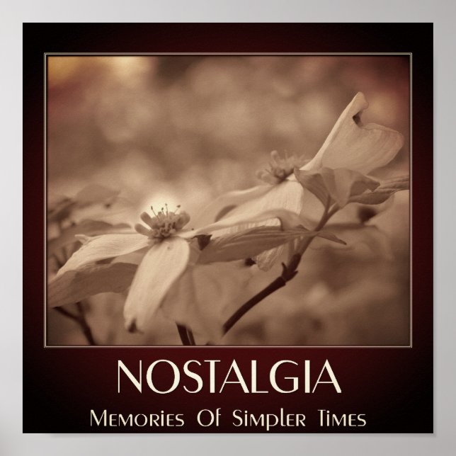 Nostalgia Sepia Dogwood Flower Poster (Front)