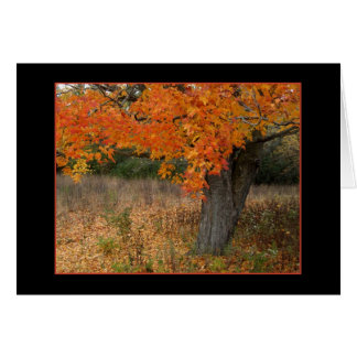 Nostalgic Amber Autumn Card