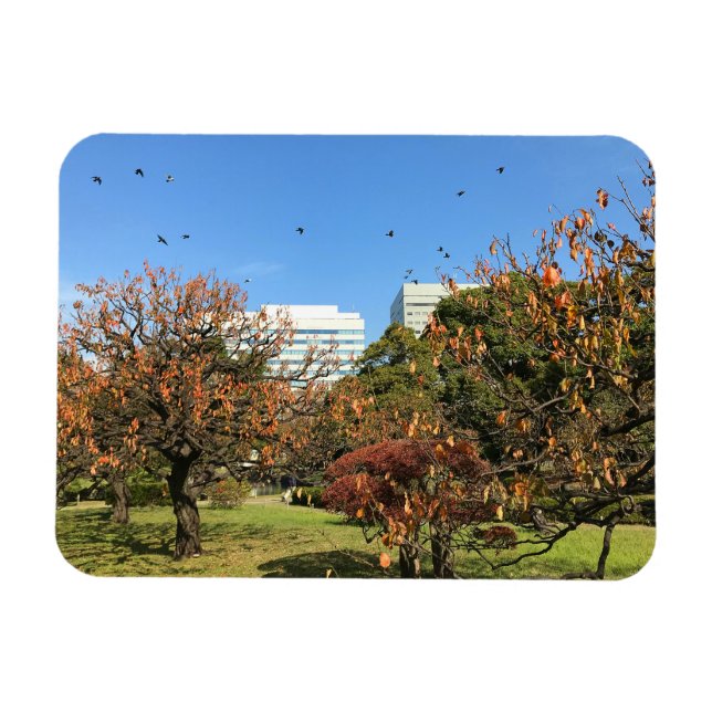 Nostalgic Autumn Sky Magnet (Horizontal)
