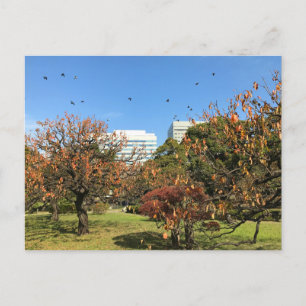 Nostalgic Autumn Sky Postcard