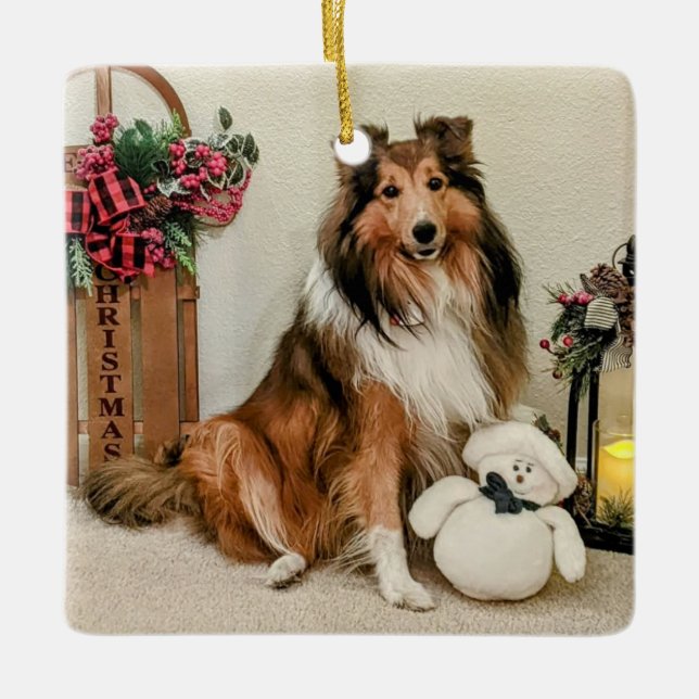 nostalgic sheltie ceramic ornament (Front)