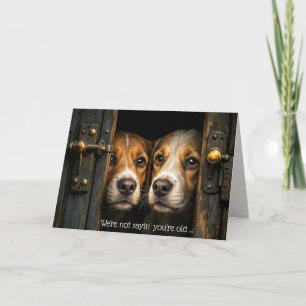 Nosy Birthday Dogs In Old Doorway Card
