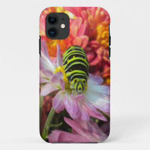 Nosy Caterpillar iPhone 5 Case