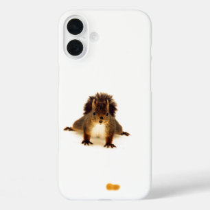 Nosy cute red squirrel snow white iPhone 16 plus case